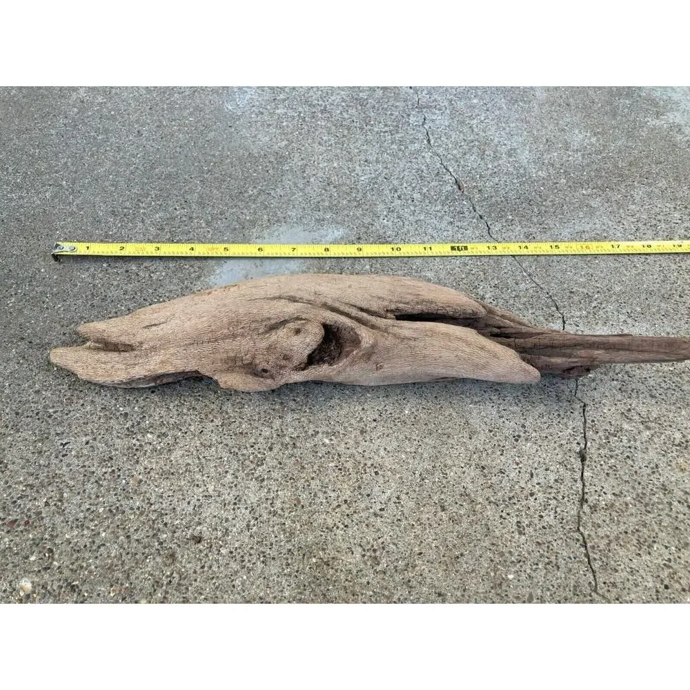 Ohio River Driftwood 15.5